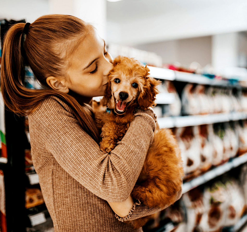 Surgery Royal Oak Pet Clinic